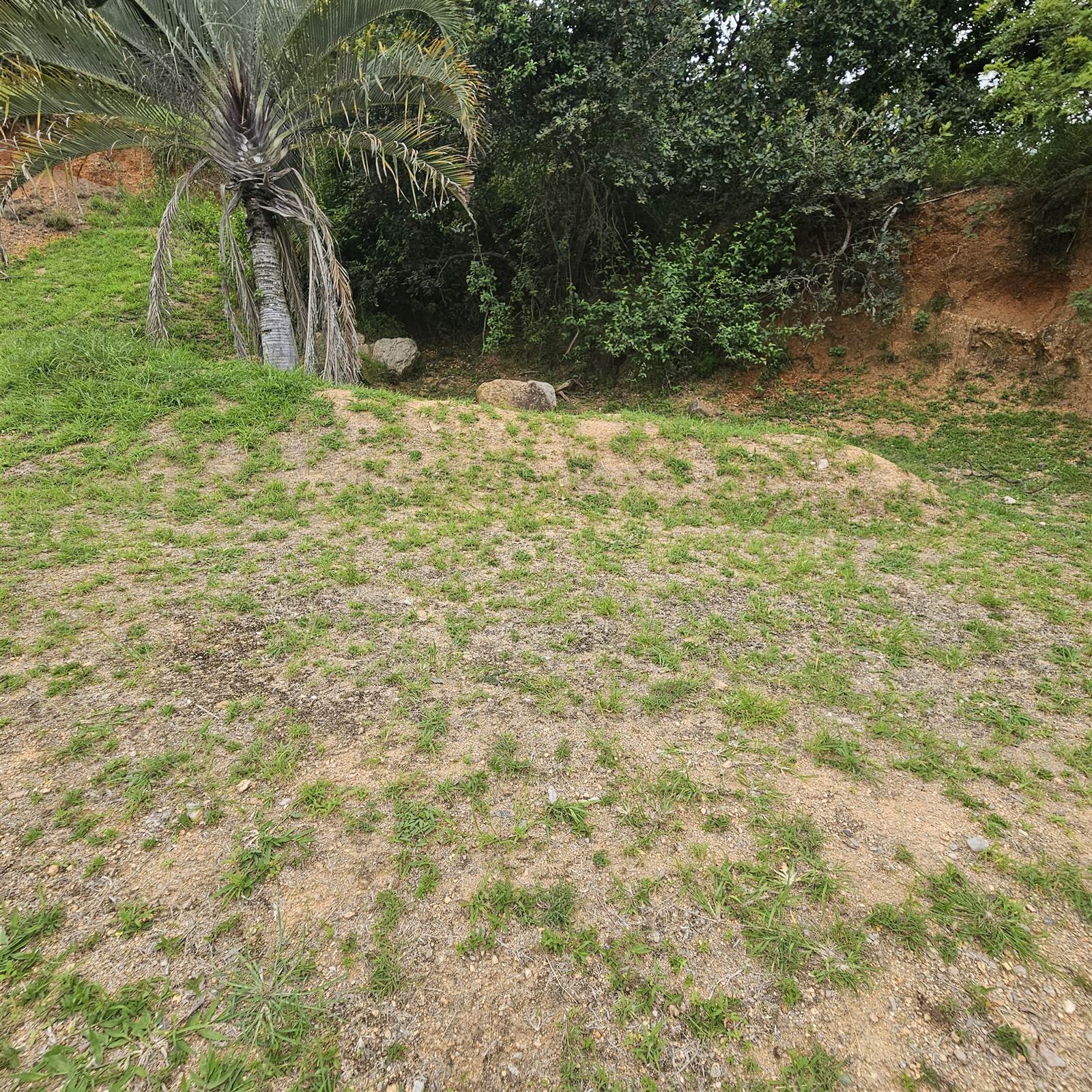 477 m² Land available in Matumi Estate photo number 3