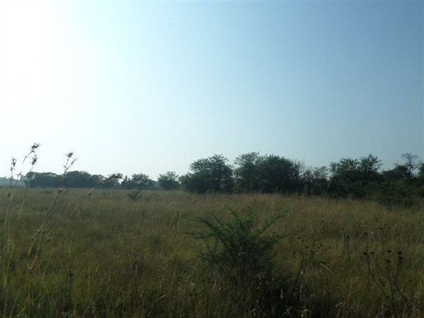 799 m² Land