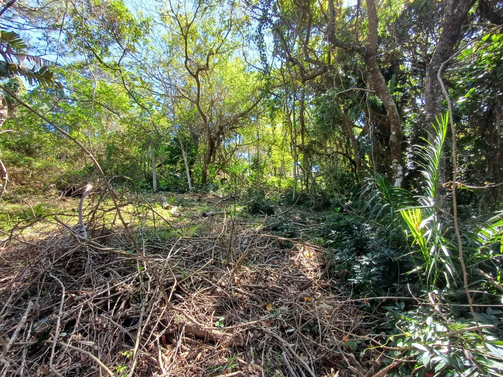 1523 m² Land available in Ramsgate photo number 5
