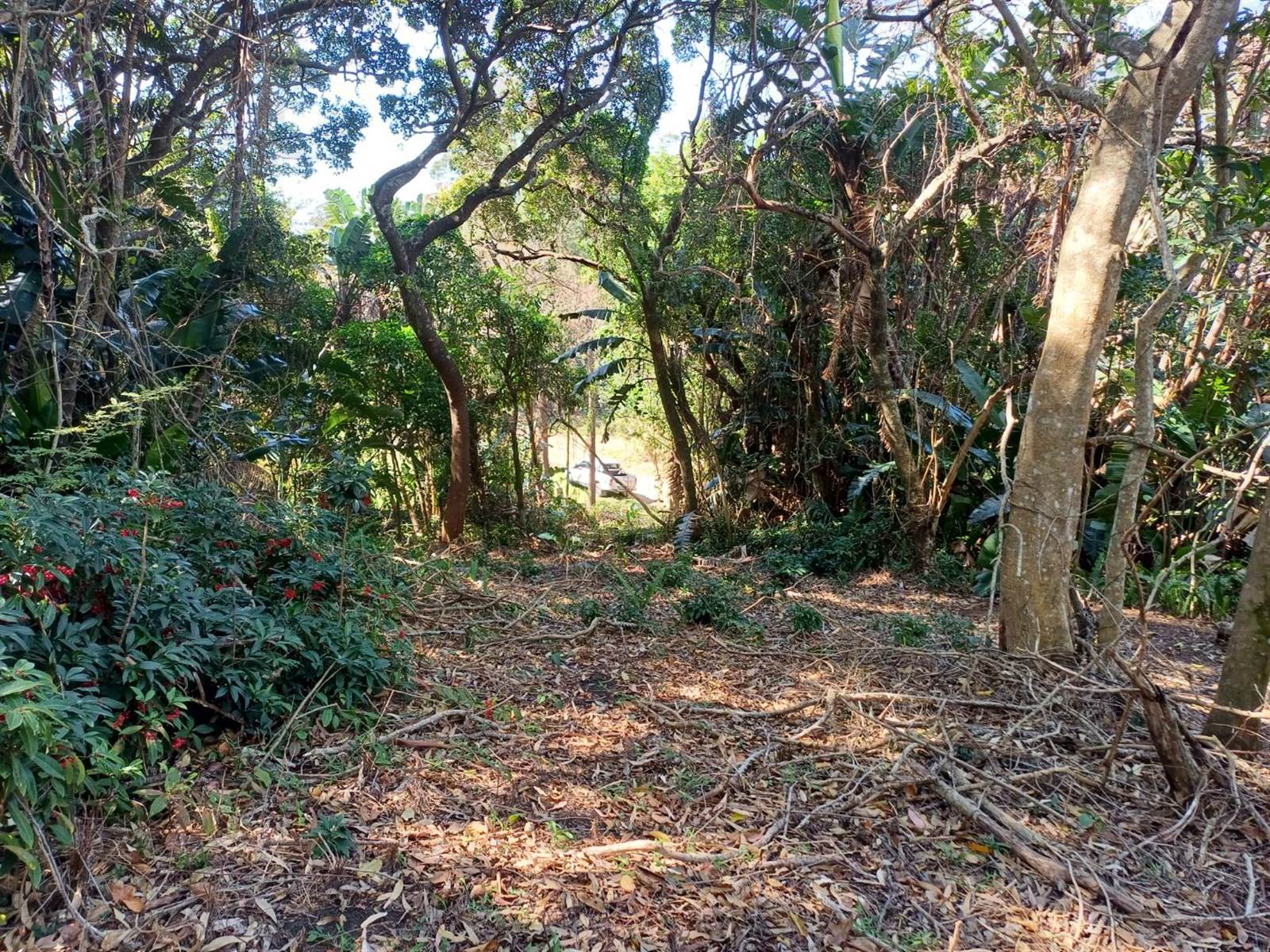 1523 m² Land available in Ramsgate photo number 7
