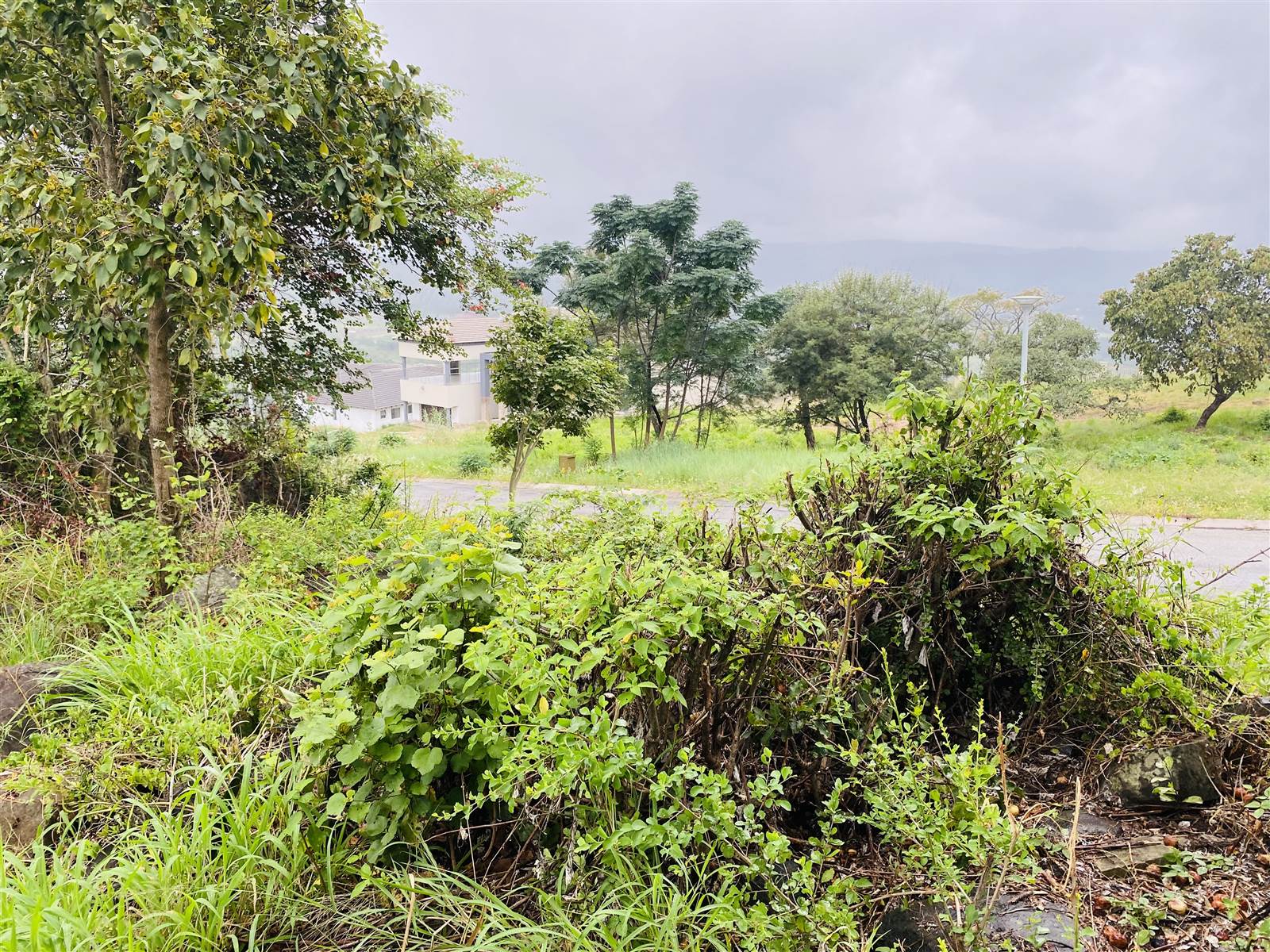 1422 m² Land available in Drum Rock photo number 7