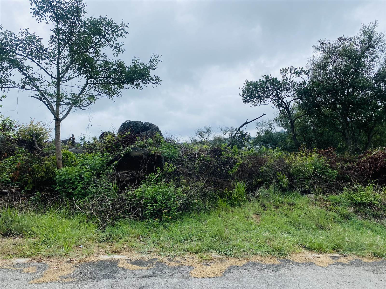1422 m² Land available in Drum Rock photo number 5