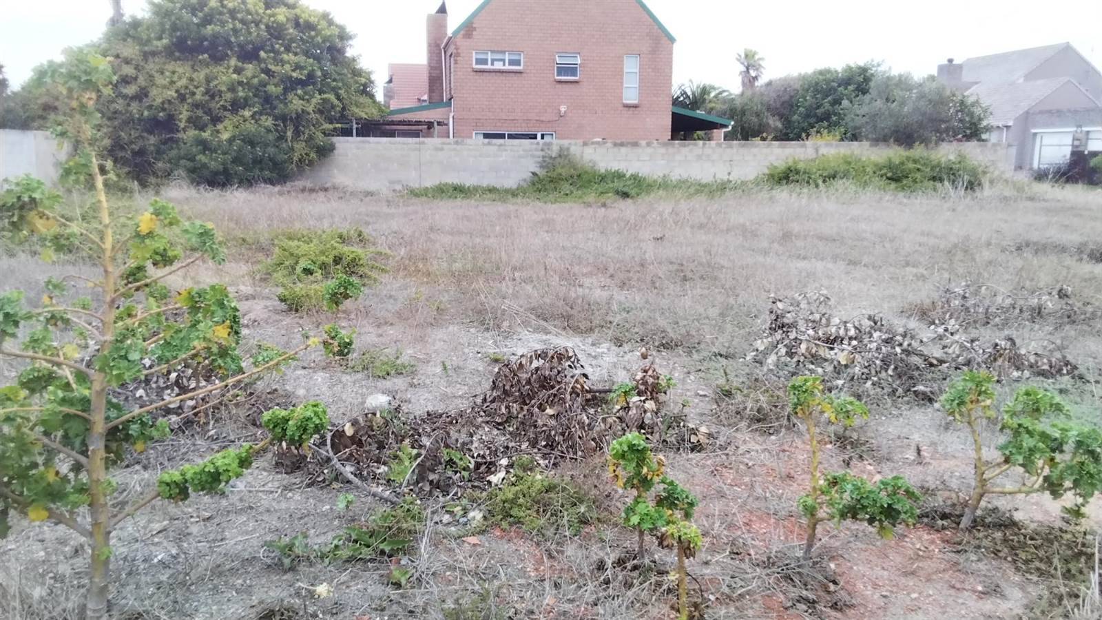 605 m² Land available in Saldanha photo number 3