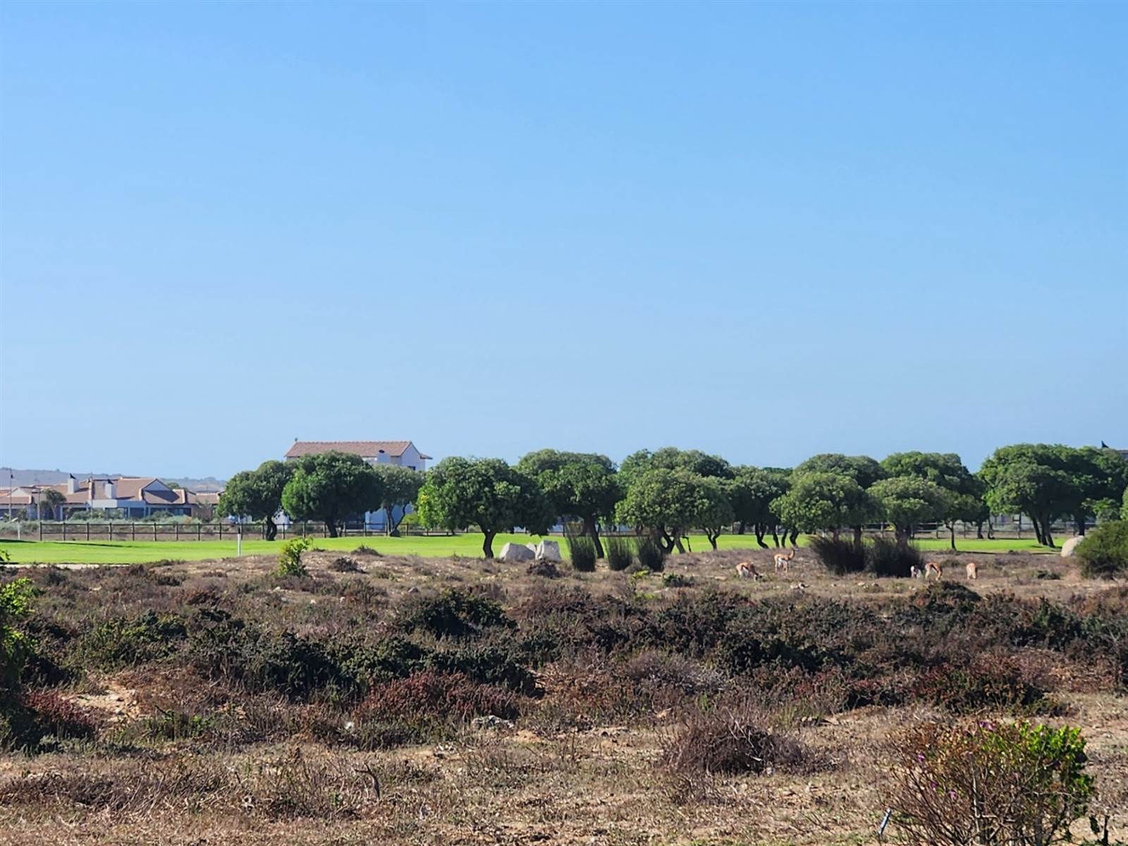 896 m² Land available in Langebaan Country Estate photo number 2