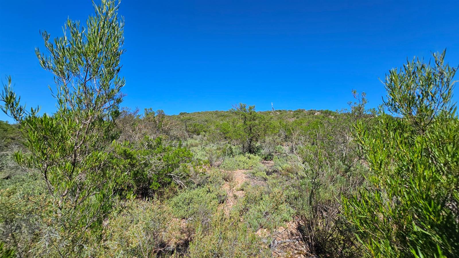 697 m² Land available in Robertson photo number 4