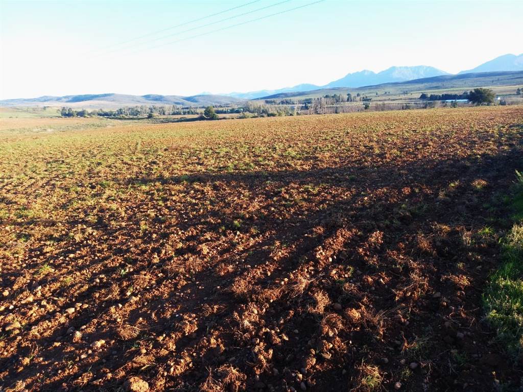 80 ha Farm in Uniondale photo number 2