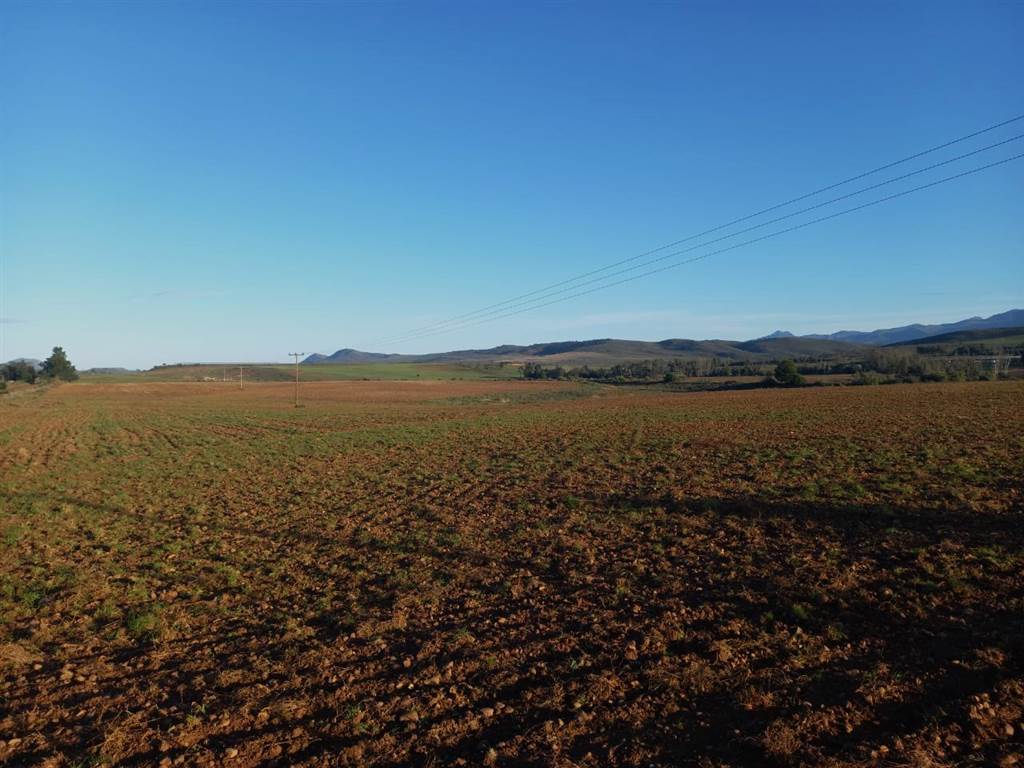 80 ha Farm in Uniondale photo number 1