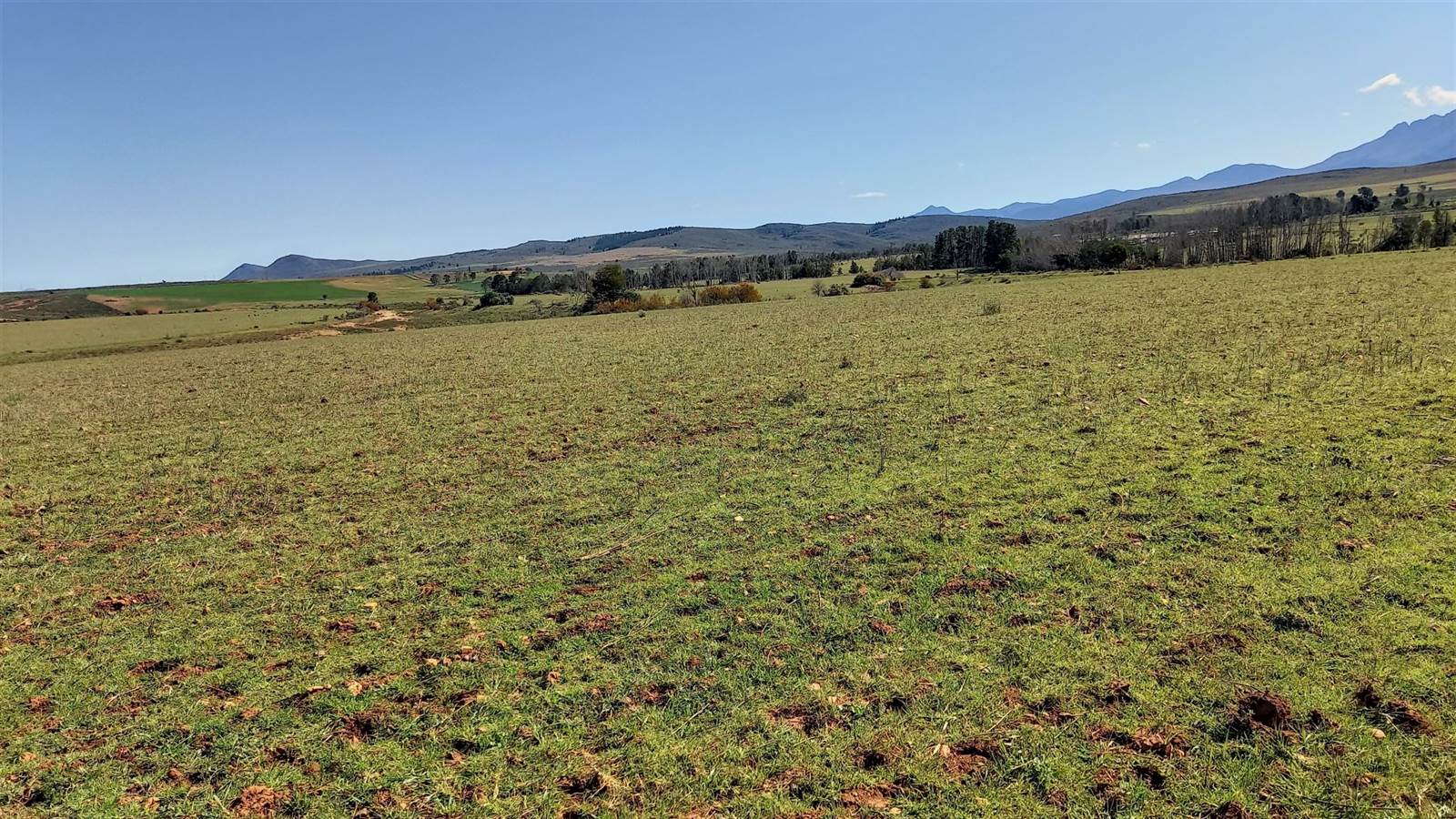 80 ha Farm in Uniondale photo number 11