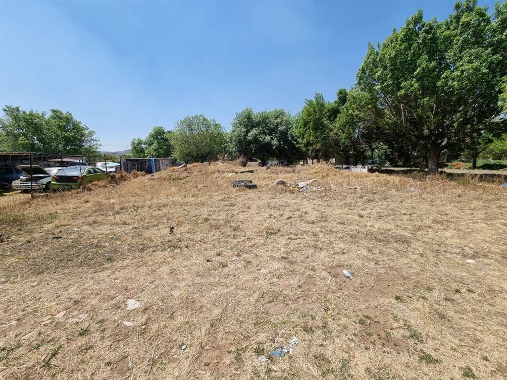 1272 m² Land available in Harrismith photo number 2