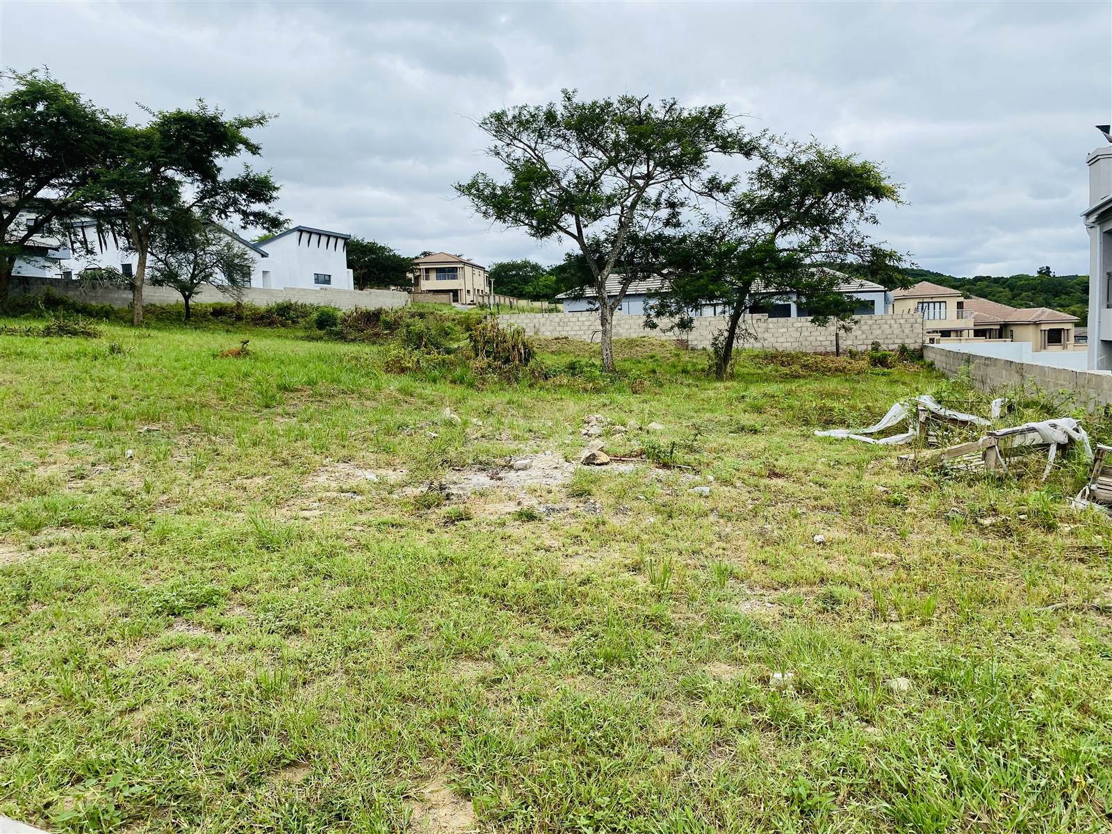 671 m² Land available in Drum Rock photo number 9