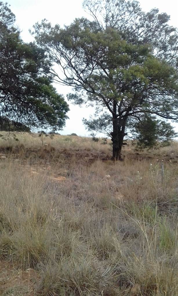 5 ha Land available in Rayton photo number 23