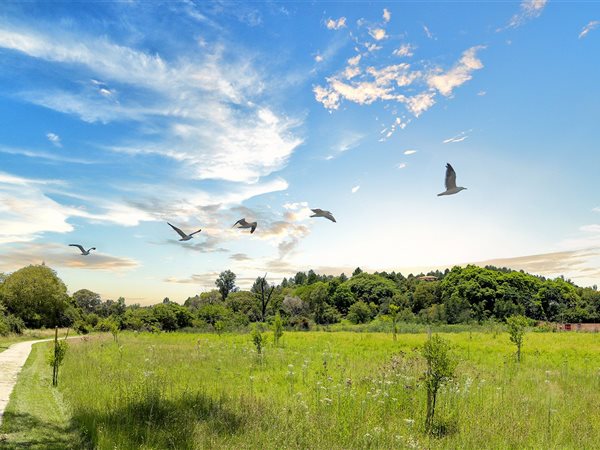 5 008 m² Land 5 008 m² Land