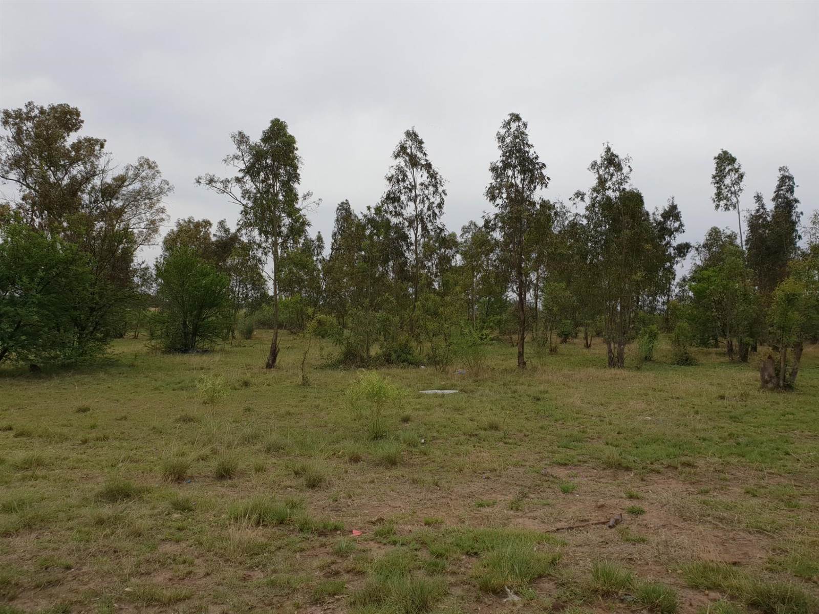 3.6 ha Land available in Riversdale photo number 3