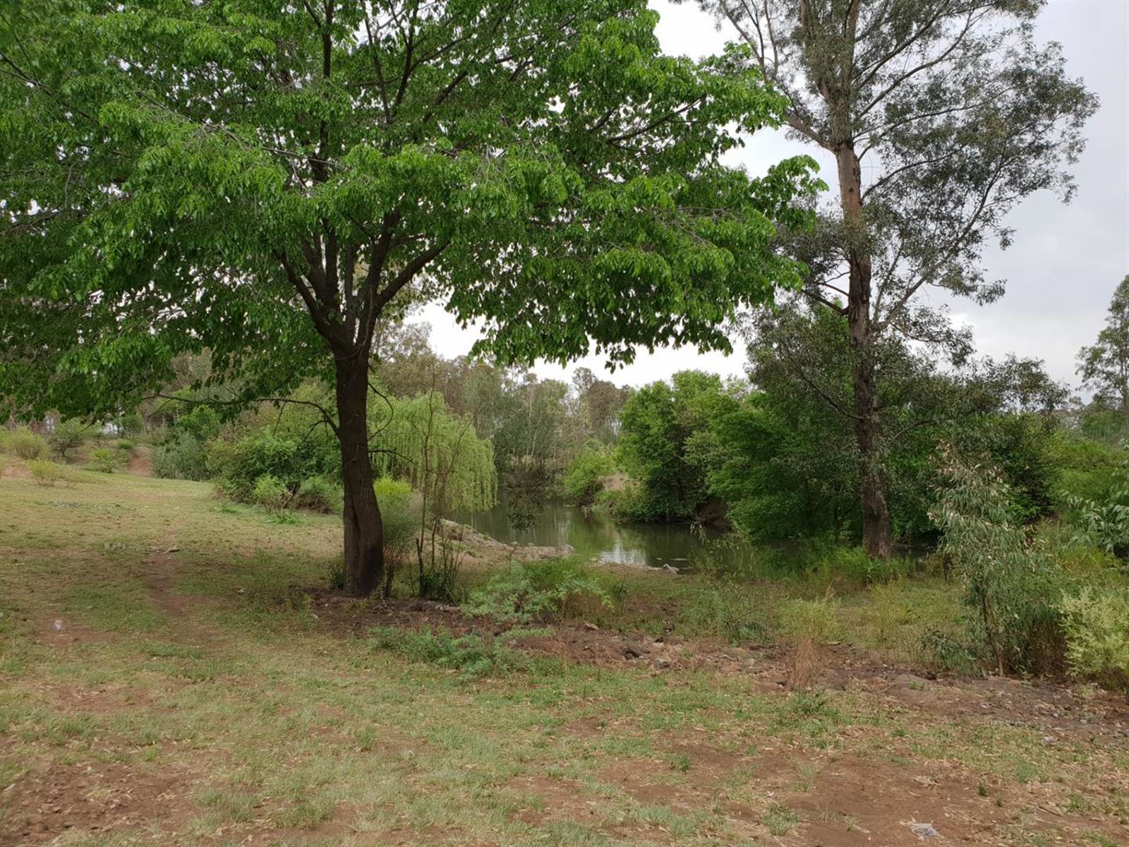 3.6 ha Land available in Riversdale photo number 2