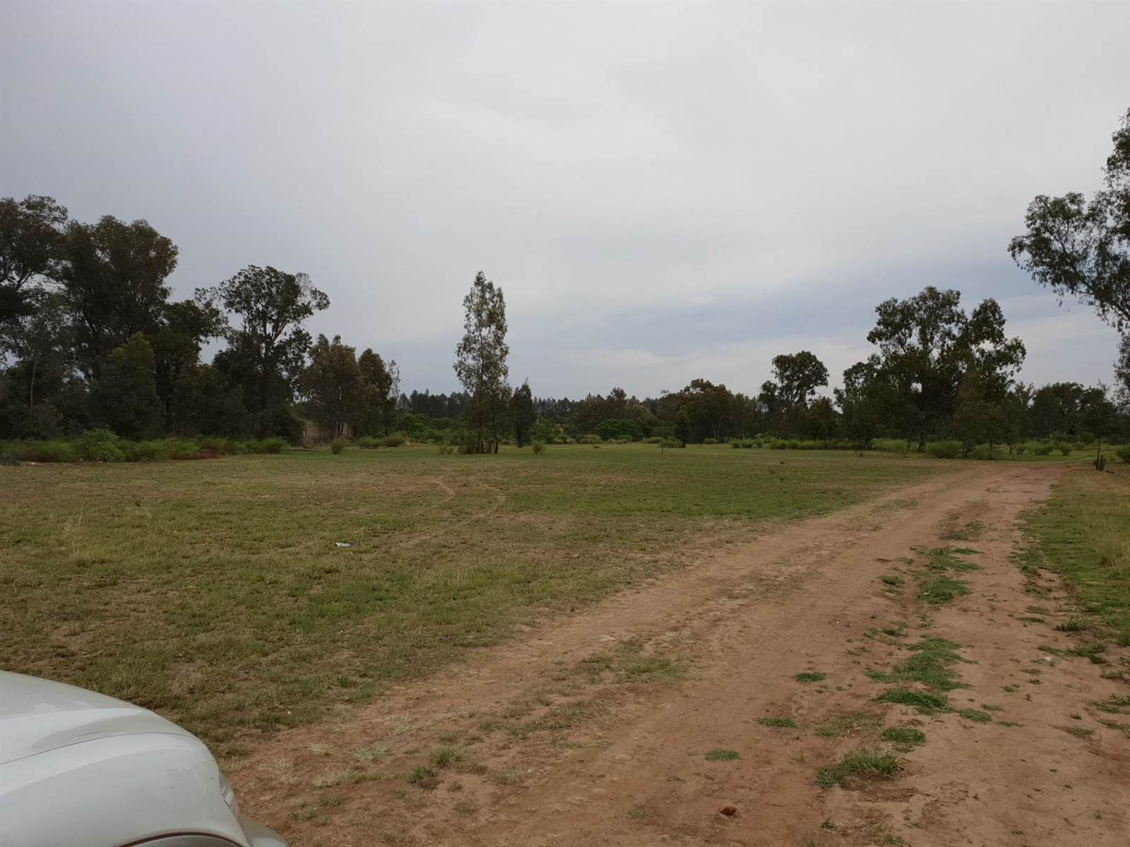 3.6 ha Land available in Riversdale photo number 5