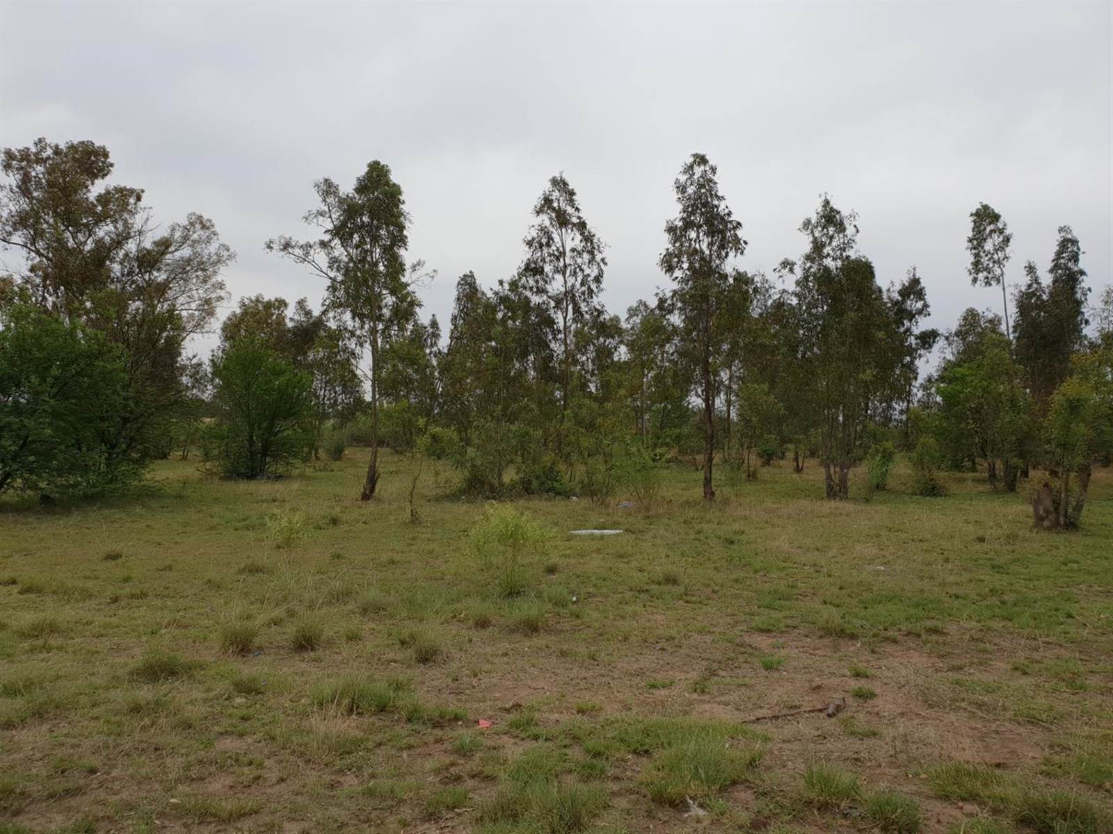 3.6 ha Land available in Riversdale photo number 11