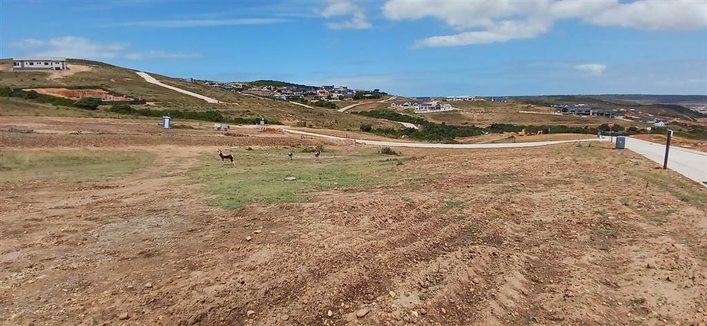 1504 m² Land available in Hartenbos photo number 5