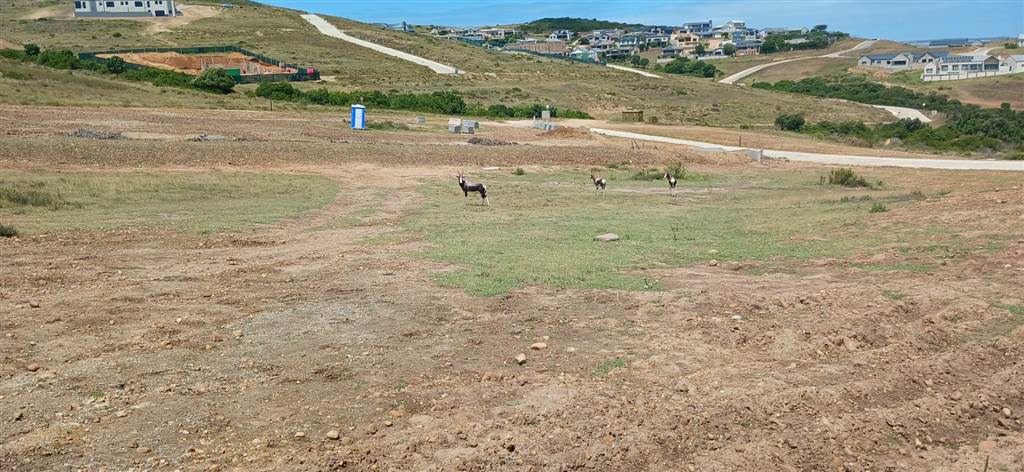 1504 m² Land available in Hartenbos photo number 7