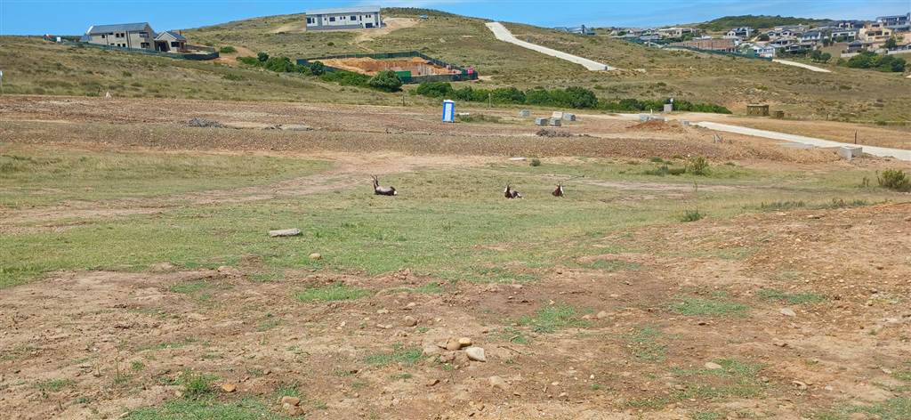 1504 m² Land available in Hartenbos photo number 2