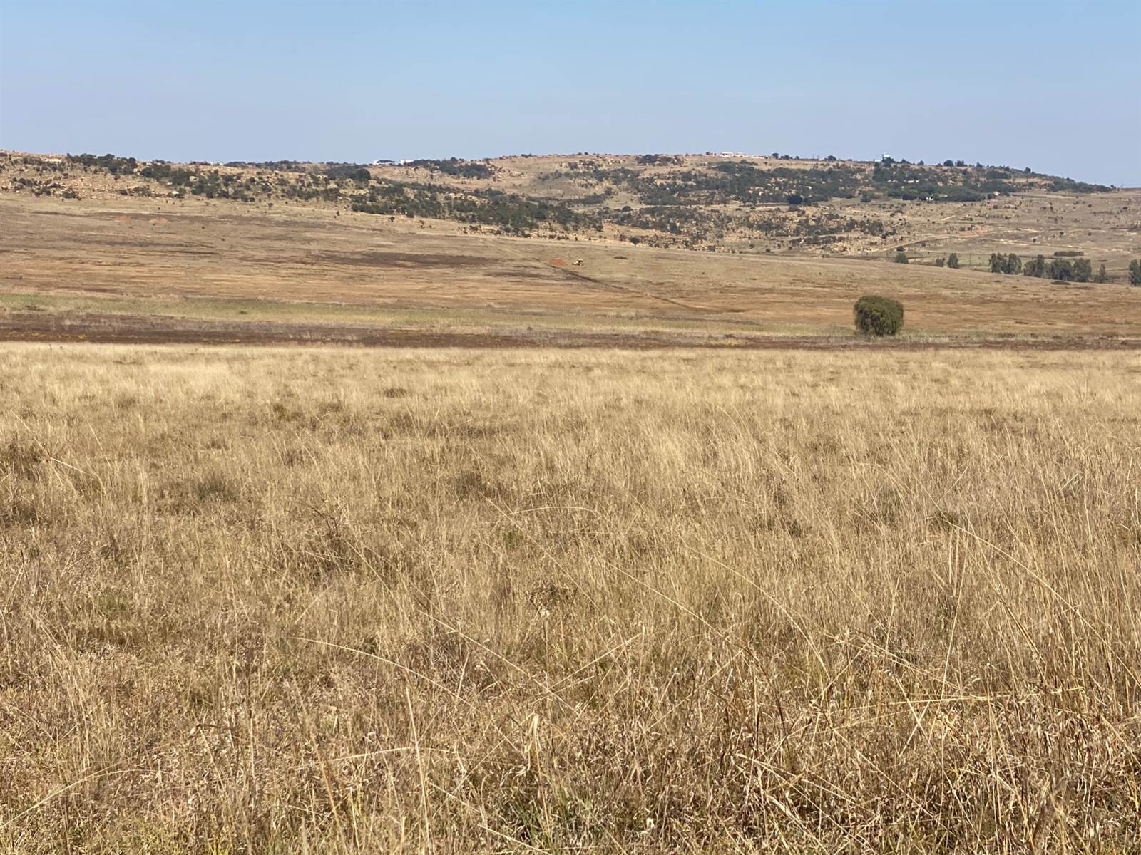 273.1 ha Land available in Bronkhorstspruit photo number 13