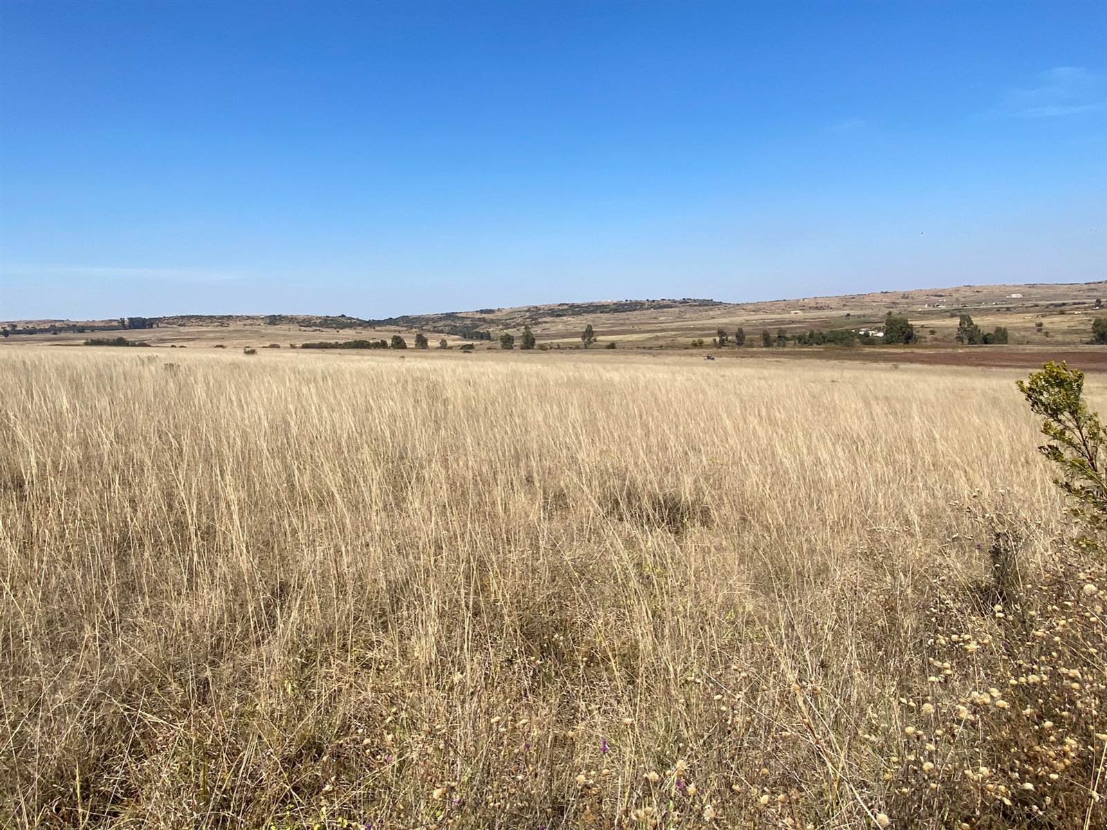 273.1 ha Land available in Bronkhorstspruit photo number 17