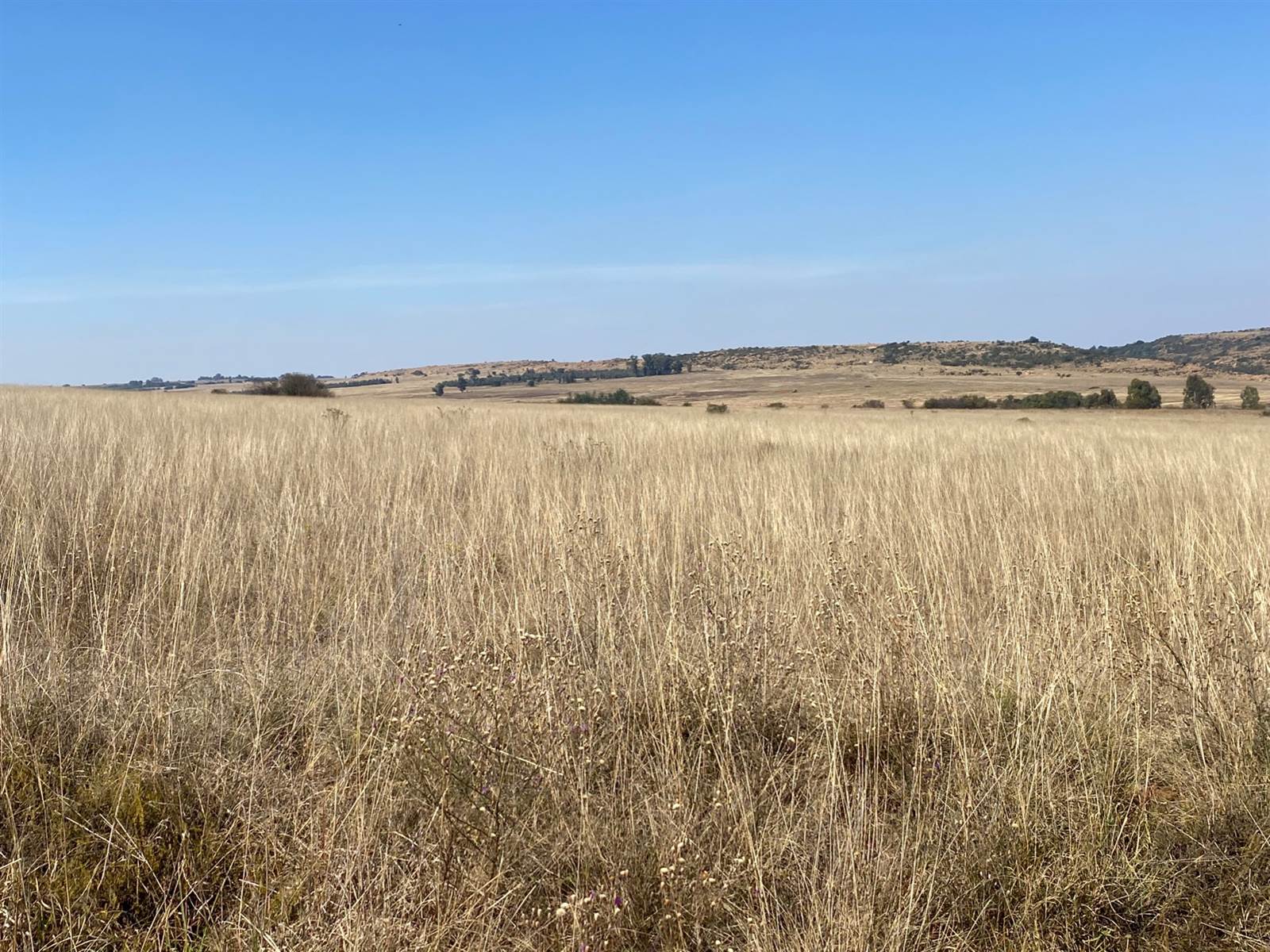 273.1 ha Land available in Bronkhorstspruit photo number 12