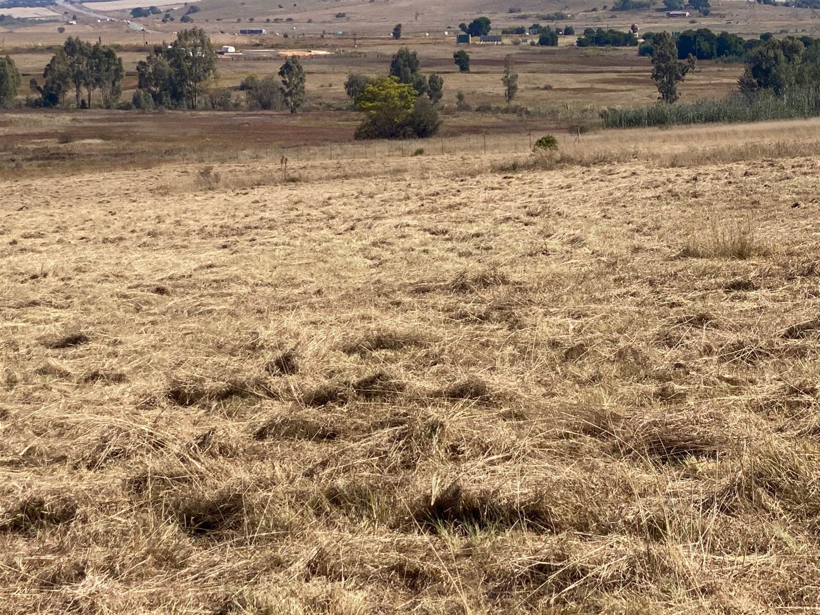 273.1 ha Land available in Bronkhorstspruit photo number 18
