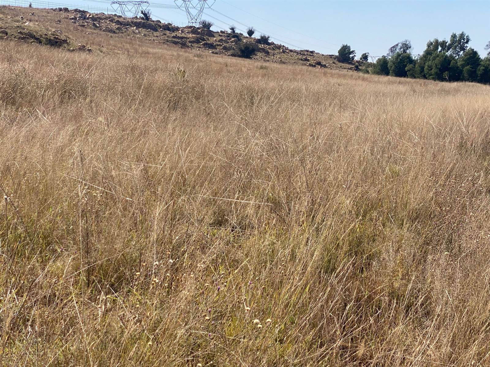 273.1 ha Land available in Bronkhorstspruit photo number 23