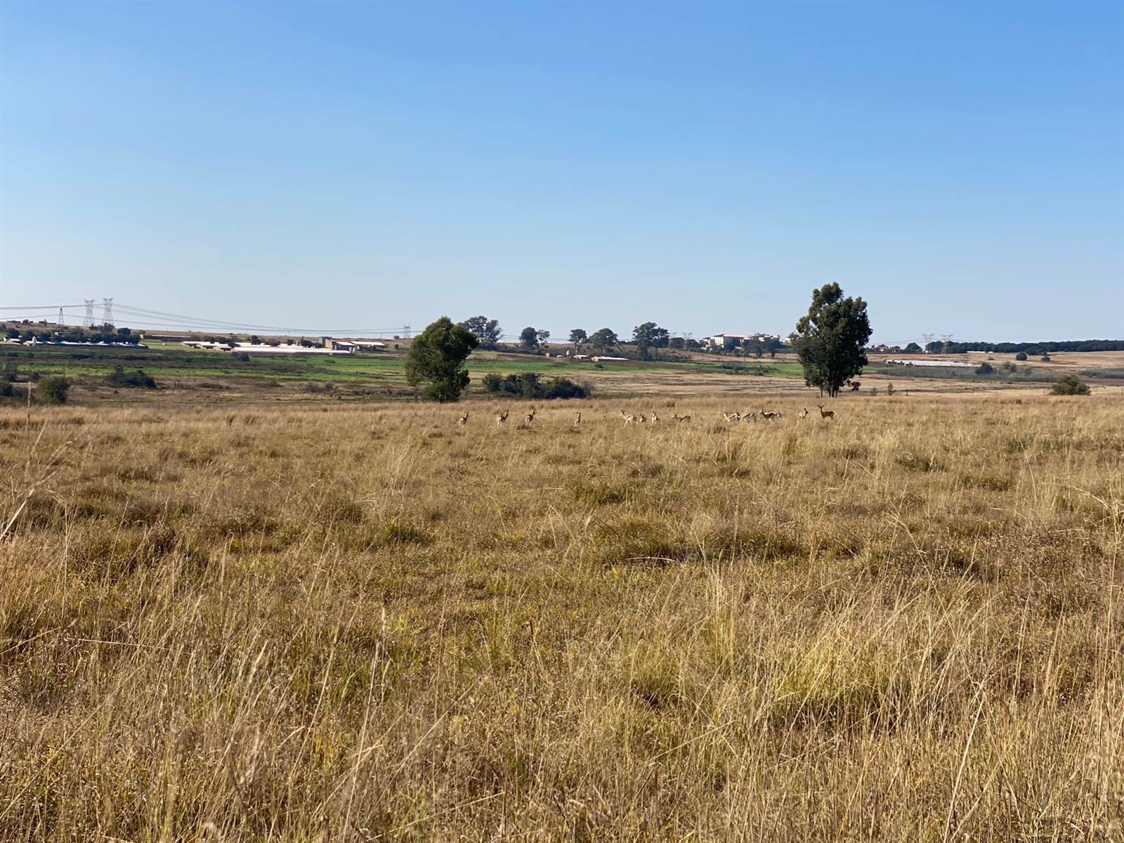 273.1 ha Land available in Bronkhorstspruit photo number 29