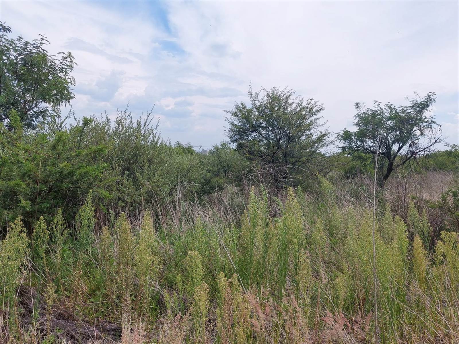 2289 m² Land available in Hartbeesfontein photo number 2