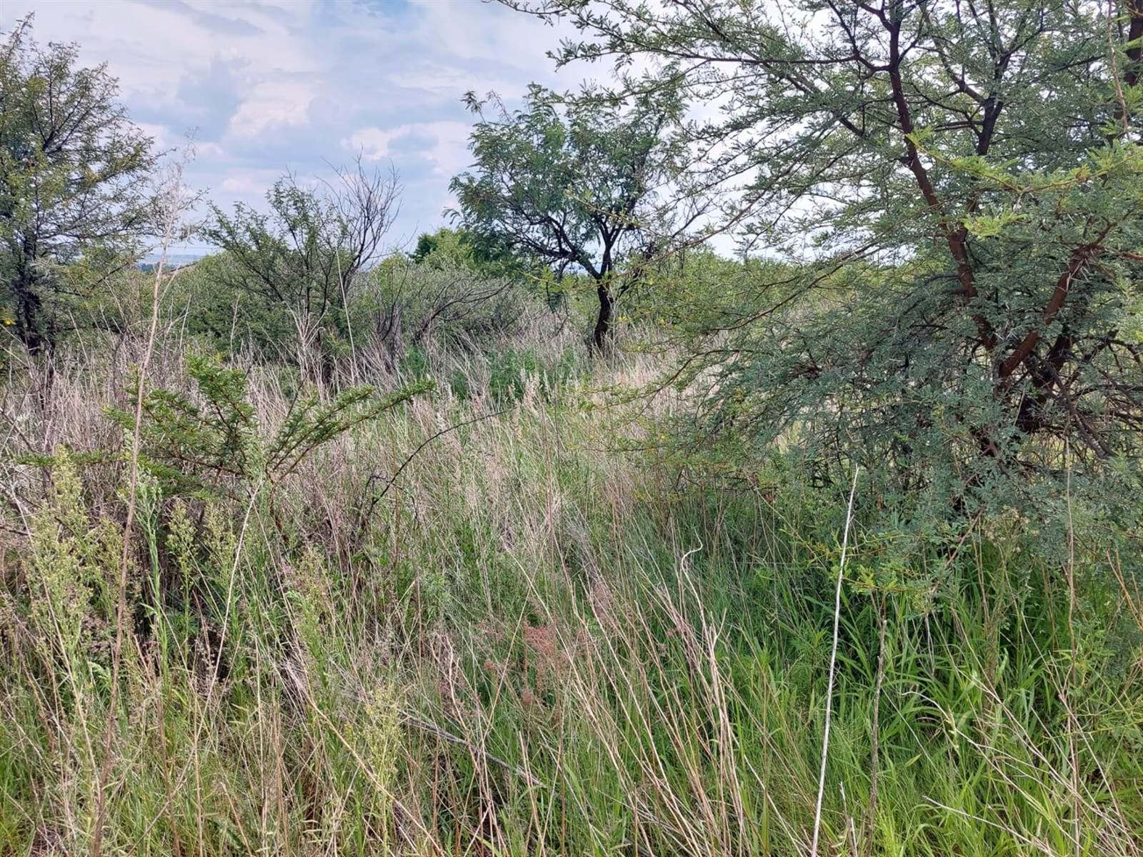 2289 m² Land available in Hartbeesfontein photo number 3