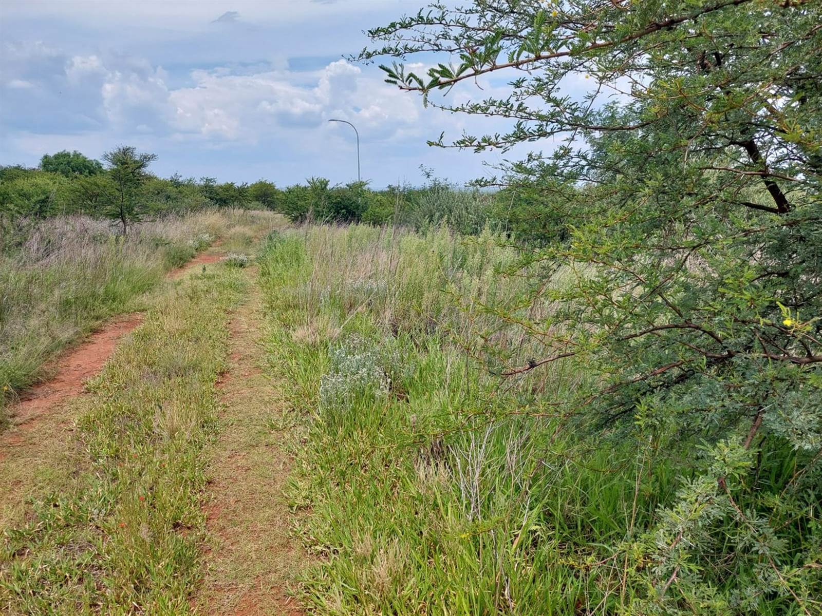 2289 m² Land available in Hartbeesfontein photo number 7