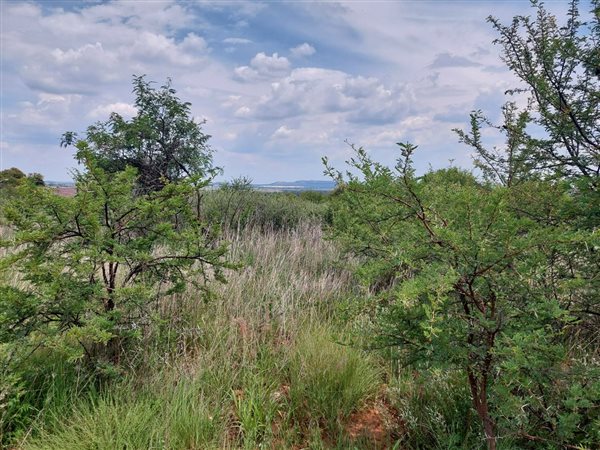 2289 m² Land available in Hartbeesfontein