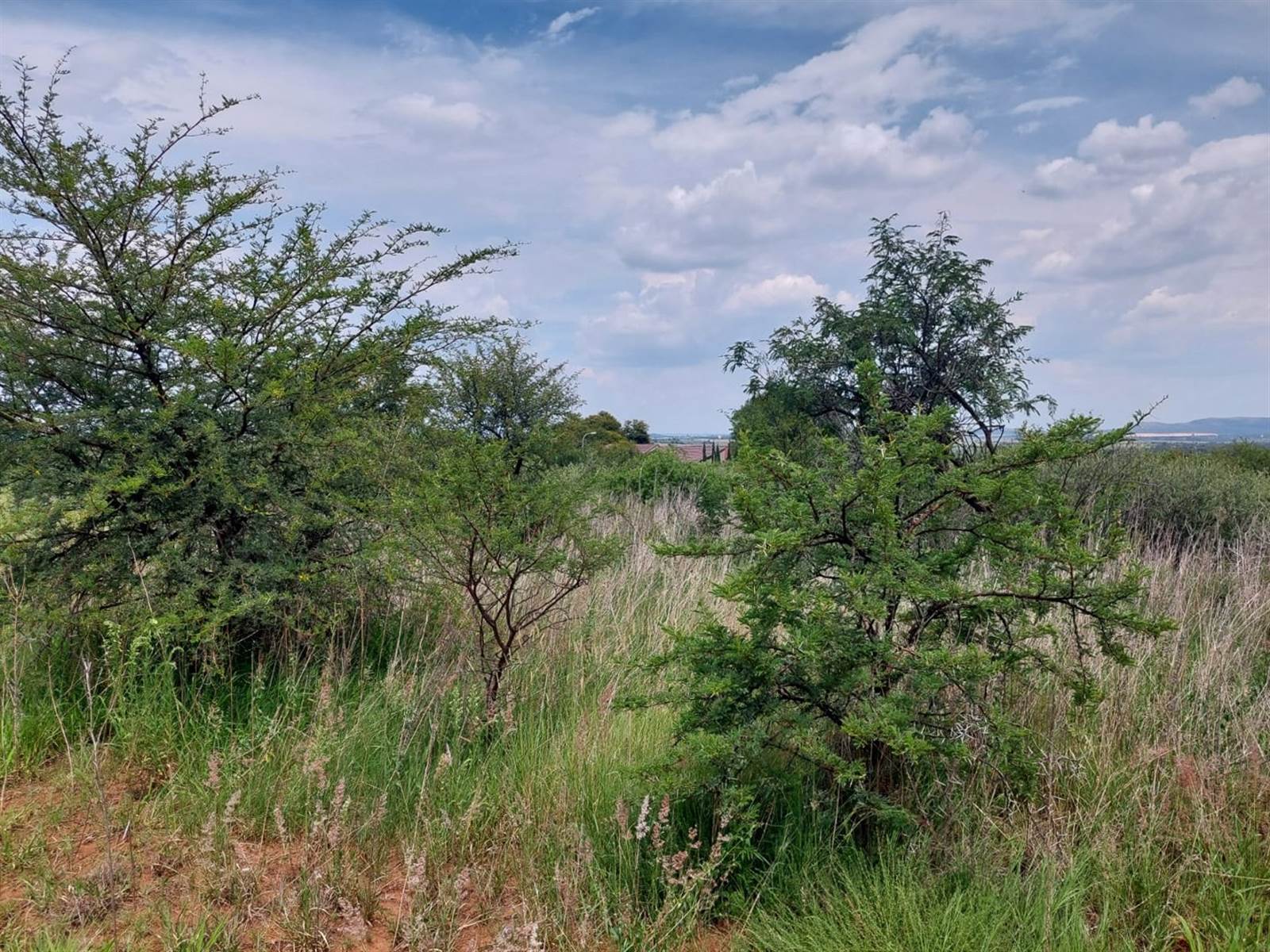 2289 m² Land available in Hartbeesfontein photo number 5