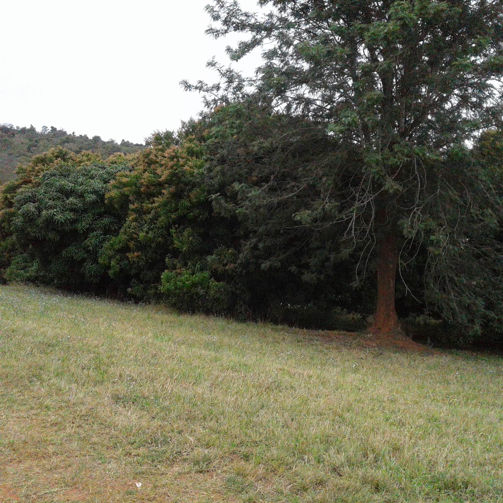 3279 m² Land available in Tzaneen photo number 5