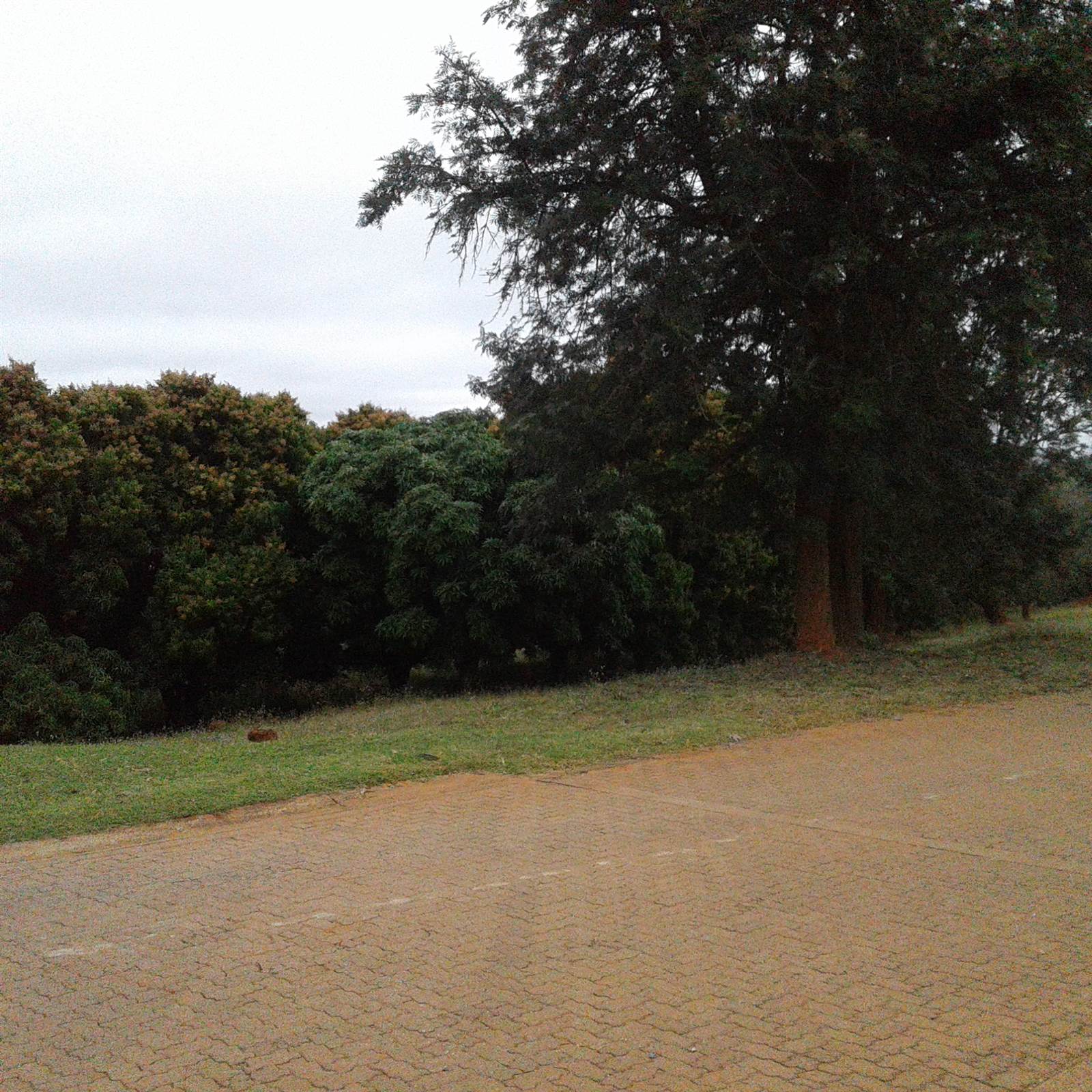 3279 m² Land available in Tzaneen photo number 12