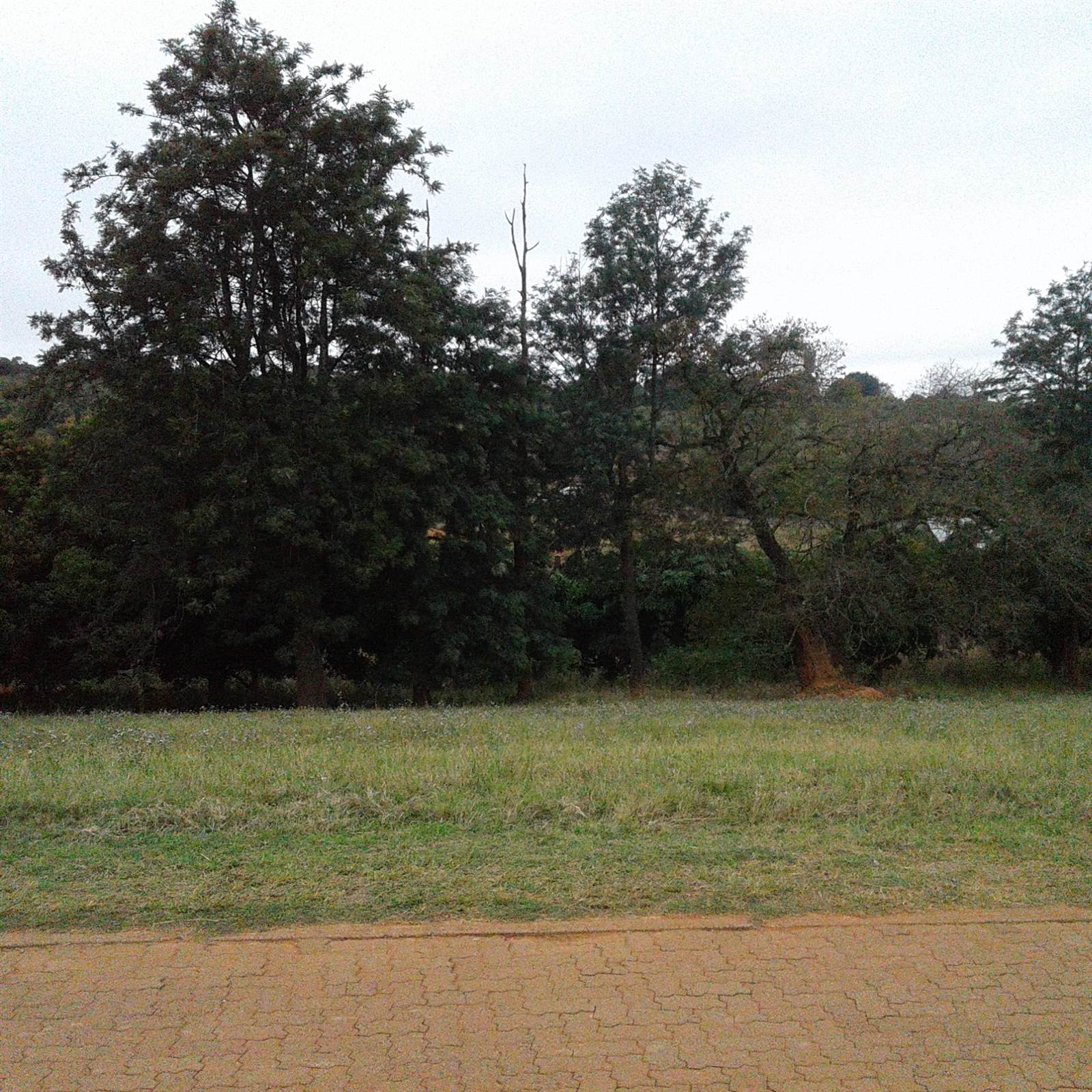 3279 m² Land available in Tzaneen photo number 11