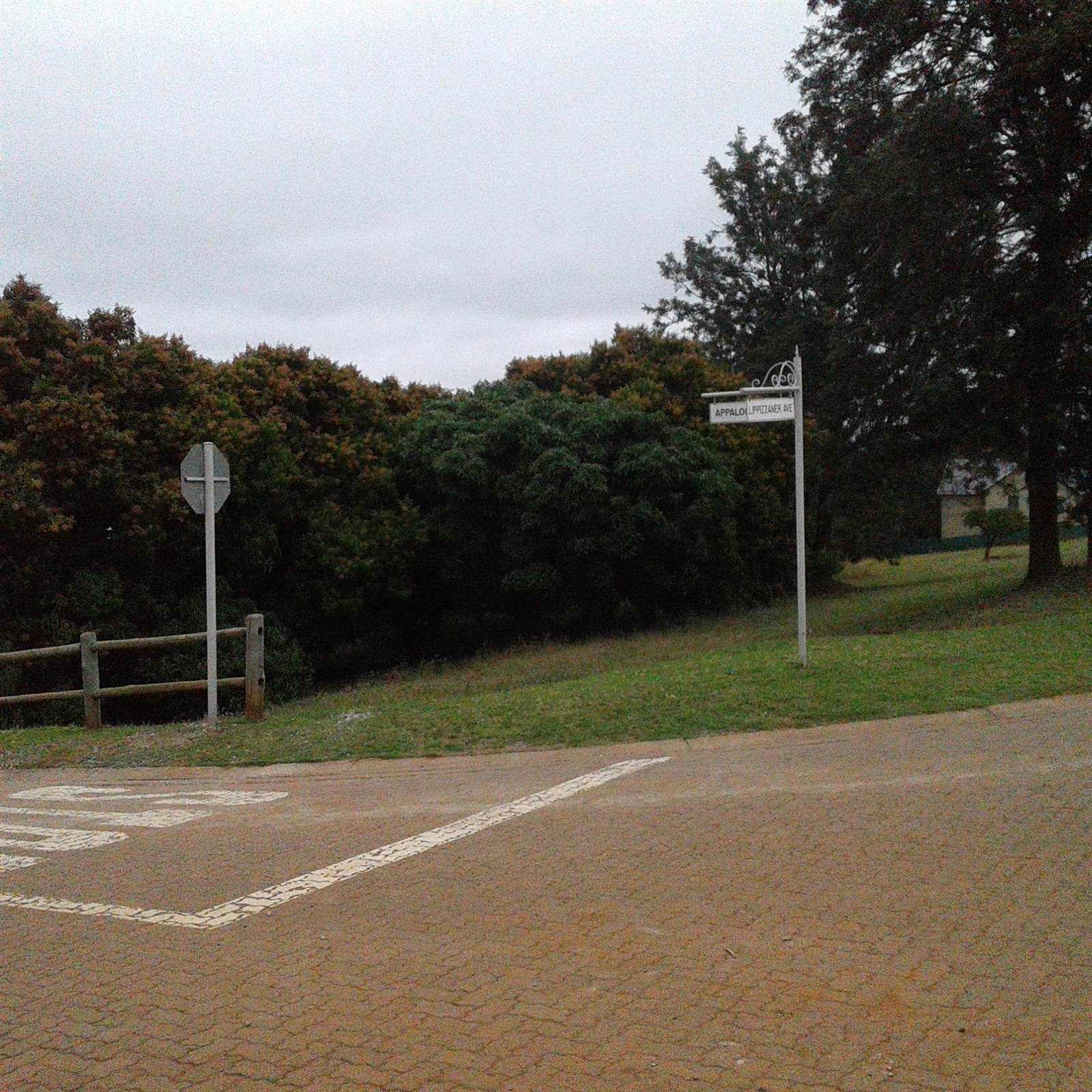 3279 m² Land available in Tzaneen photo number 4