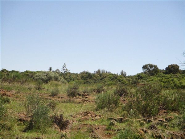 39 ha Land available in Lilyvale