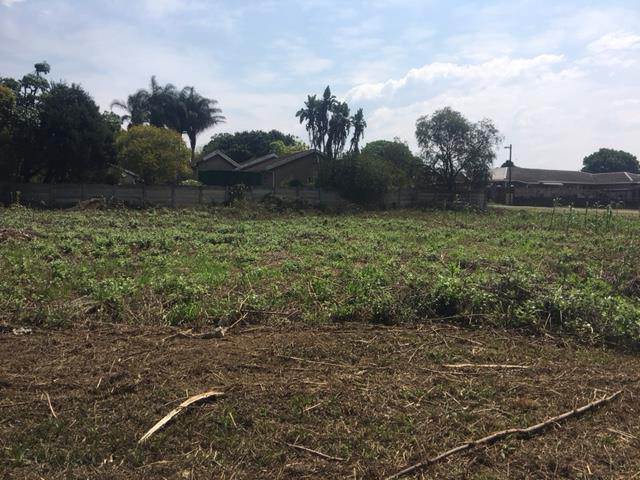 2024 m² Land available in Camperdown photo number 4
