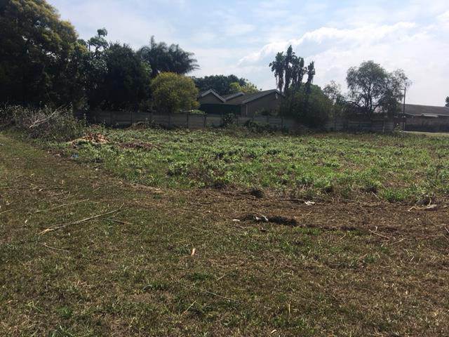 2024 m² Land available in Camperdown photo number 3