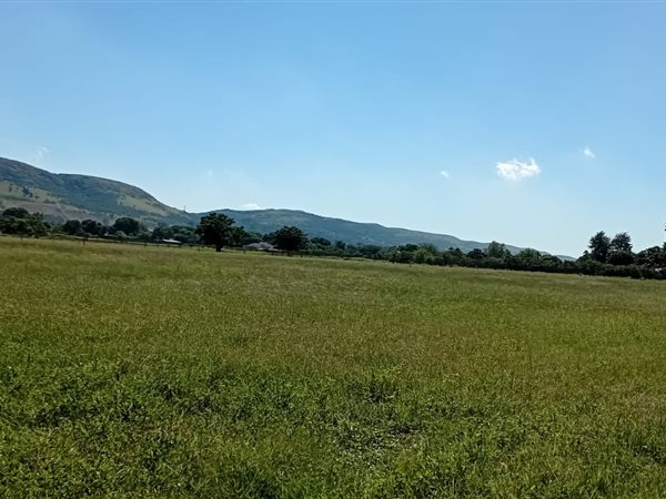 8.5 ha Farm