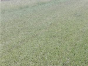 1000 m² Land available in Amajuba Park