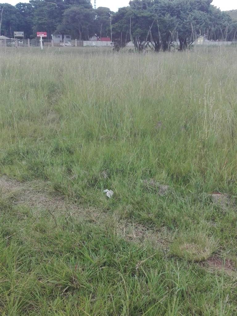 1000 m² Land available in Amajuba Park photo number 2