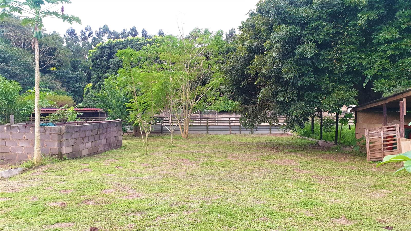 4386 m² Smallholding in Mposa photo number 11