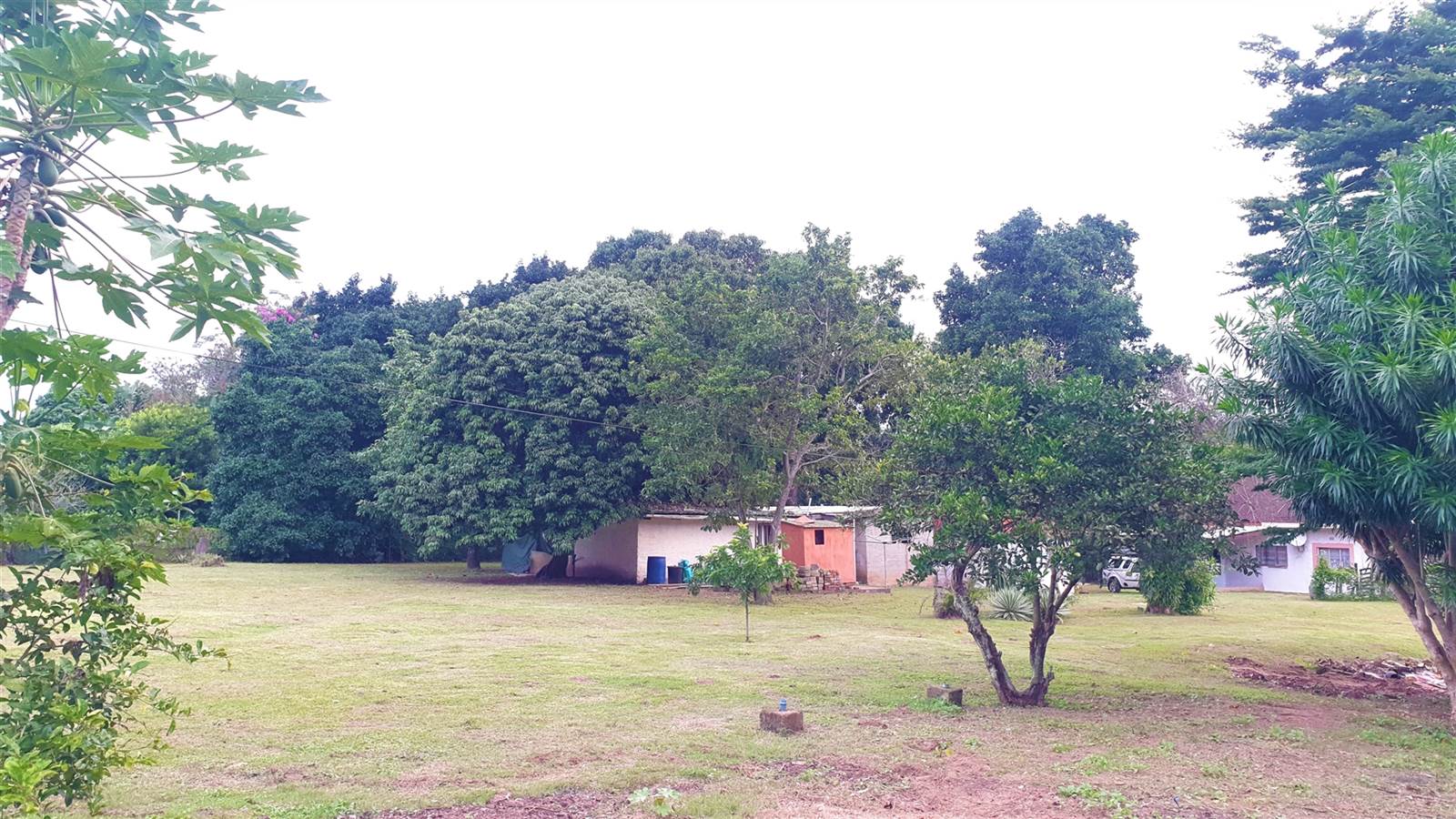 4386 m² Smallholding in Mposa photo number 6