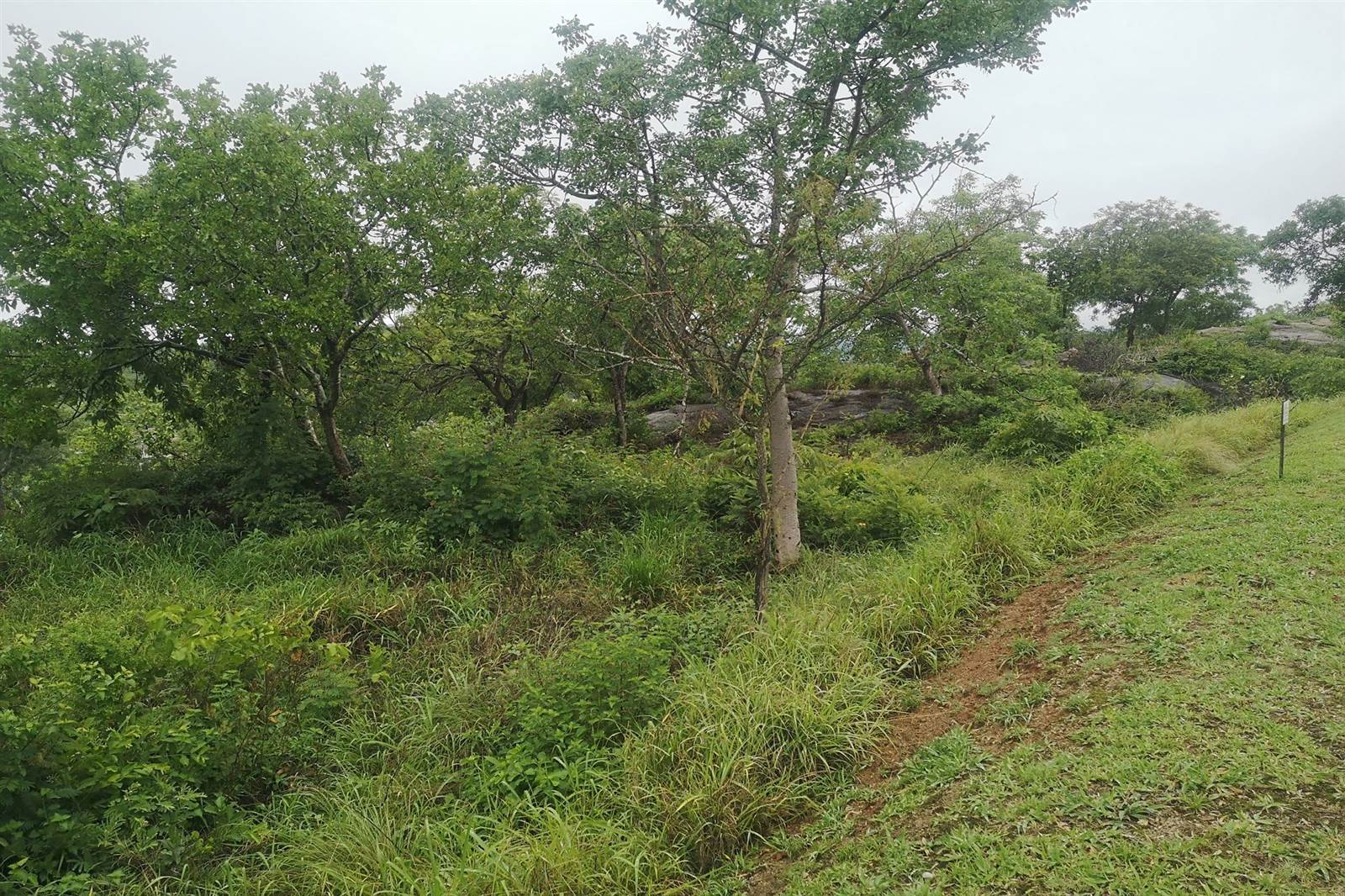 1200 m² Land available in Drum Rock photo number 3