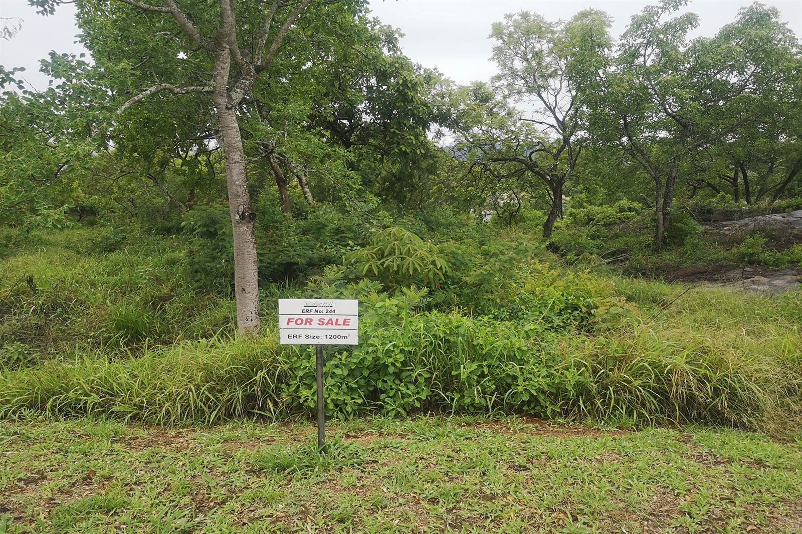 1200 m² Land available in Drum Rock photo number 2