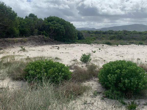 986 m² Land available in Pearly Beach