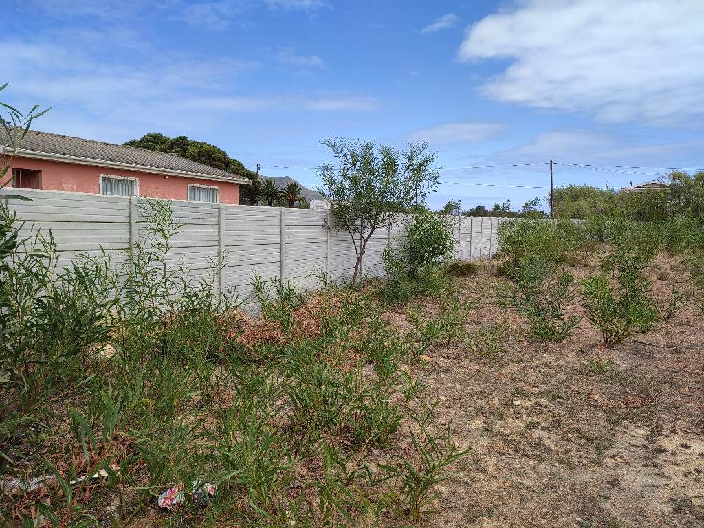 1487 m² Land available in Fisherhaven photo number 8